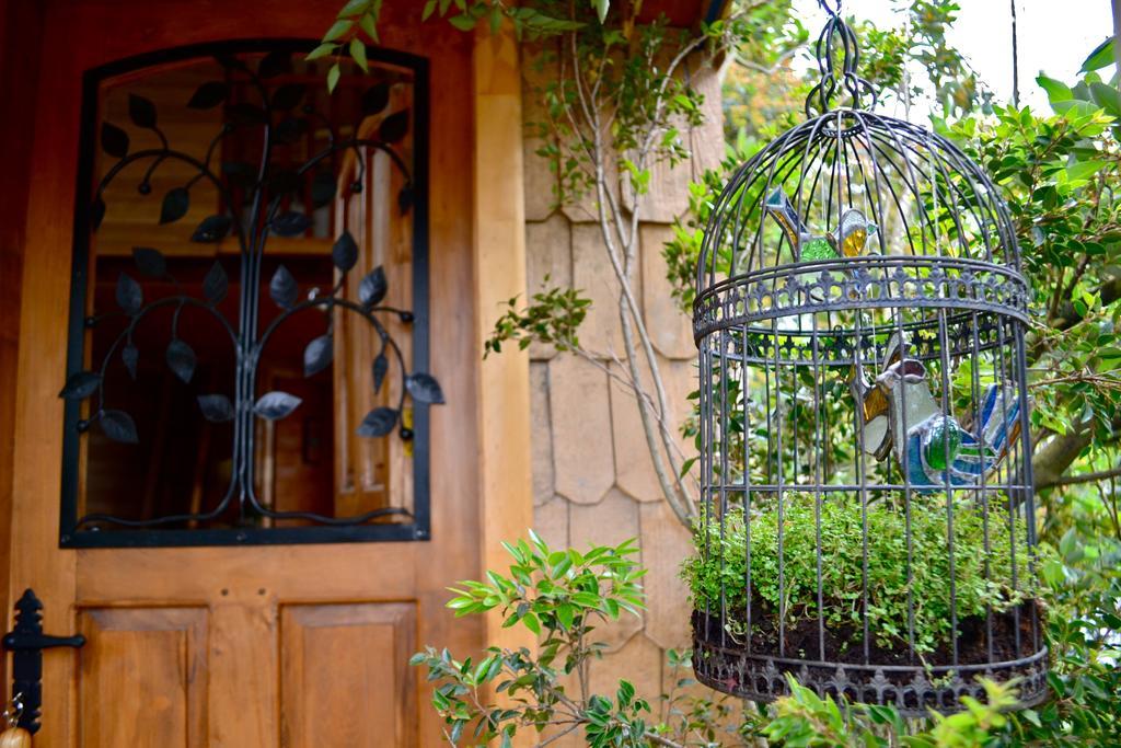 卡斯特鲁La Casa Del Arbol De Chiloe别墅 外观 照片