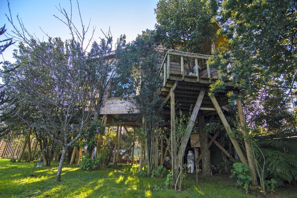 卡斯特鲁La Casa Del Arbol De Chiloe别墅 外观 照片